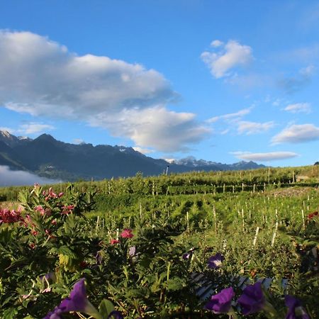 La Vita In Campagna Villa di Tirano Εξωτερικό φωτογραφία