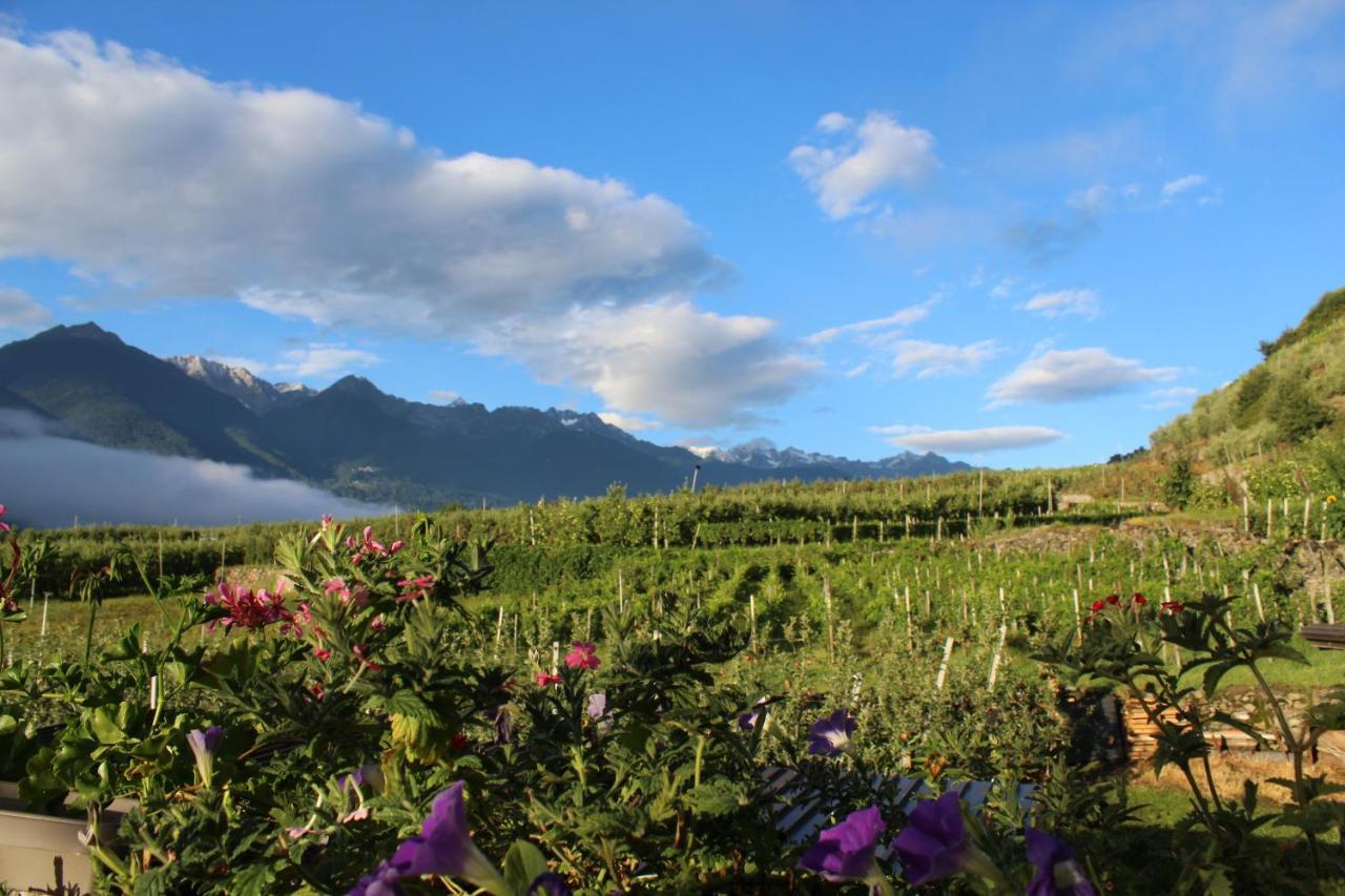 La Vita In Campagna Villa di Tirano Εξωτερικό φωτογραφία