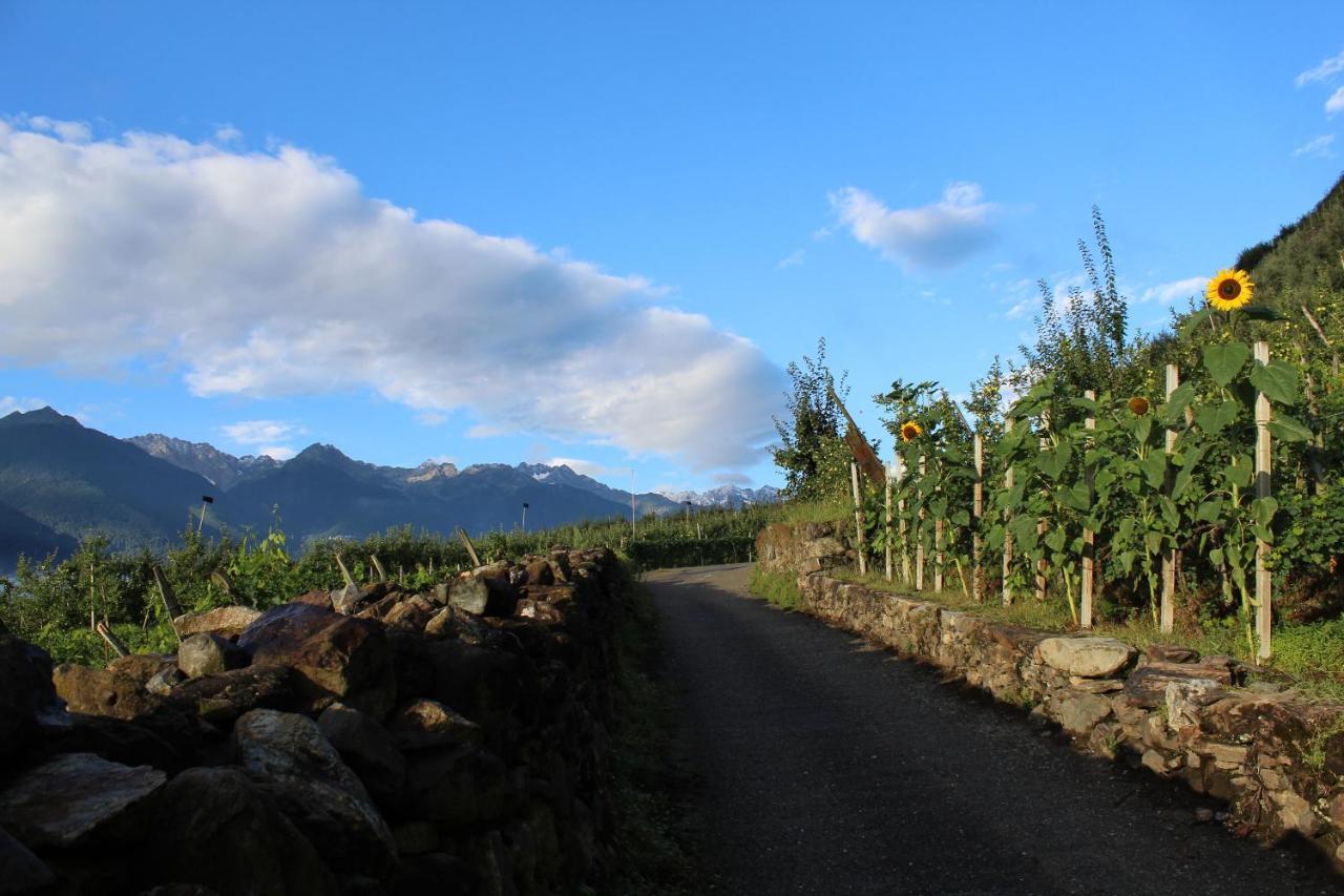 La Vita In Campagna Villa di Tirano Εξωτερικό φωτογραφία