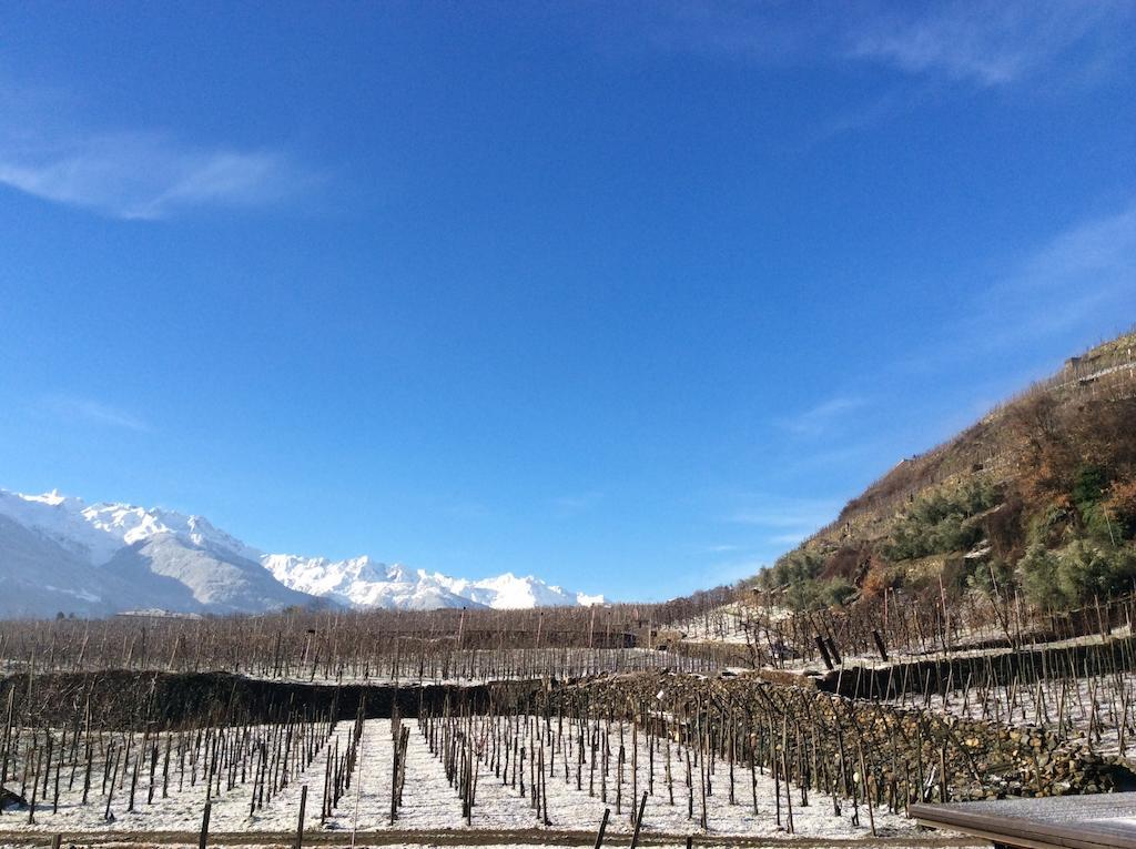 La Vita In Campagna Villa di Tirano Εξωτερικό φωτογραφία