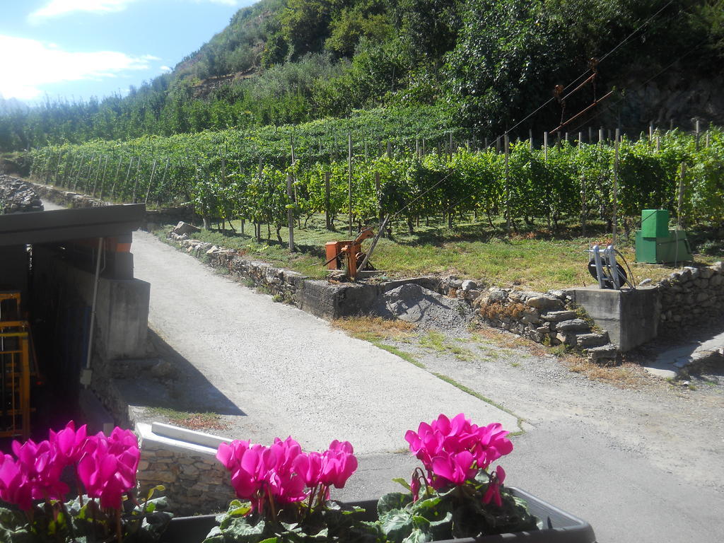 La Vita In Campagna Villa di Tirano Εξωτερικό φωτογραφία